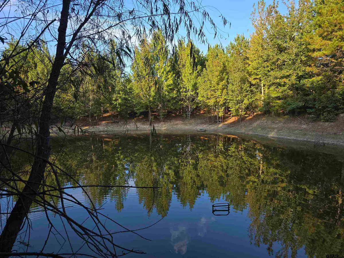 TBD CR 2864/Off Road, Hughes Springs, TX 75656 - Image #1