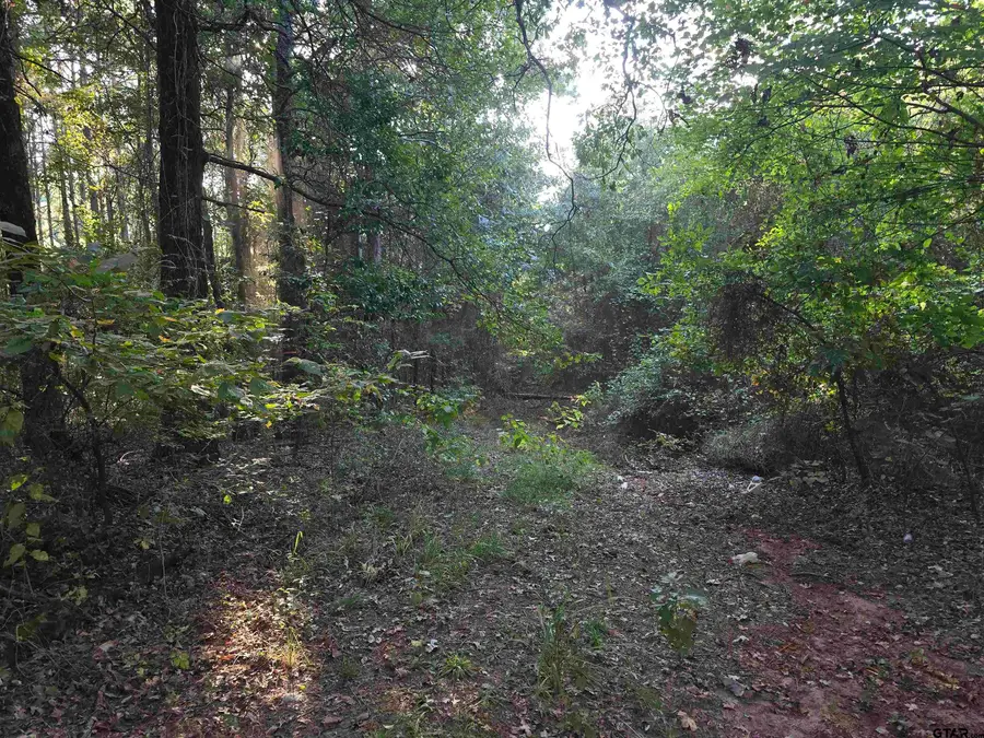 TBD CR 2864/Off Road, Hughes Springs, TX 75656 - Image #3