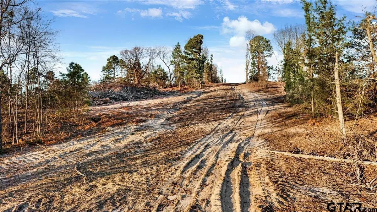 TBD County Road 3147 ( 17.489 ACRES), Tyler, TX 75706 - Image #1