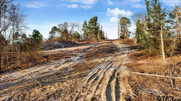 TBD County Road 3147 ( 17.489 ACRES), Tyler, TX 75706