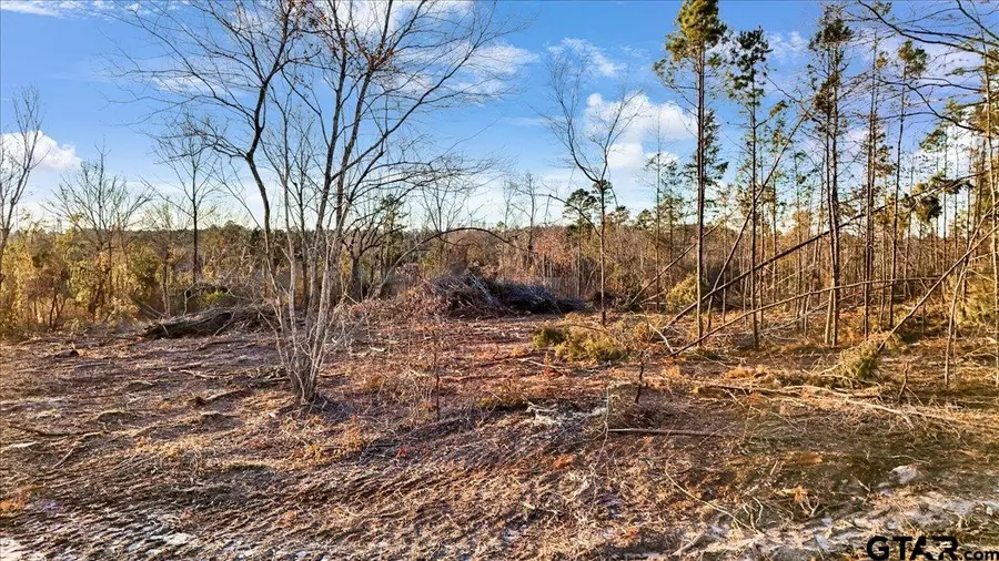 TBD County Road 3147 ( 17.489 ACRES), Tyler, TX 75706 - Image #2