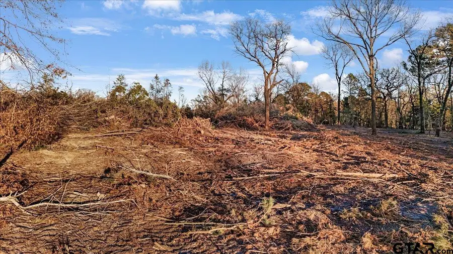 TBD County Road 3147 ( 17.489 ACRES), Tyler, TX 75706 - Image #3