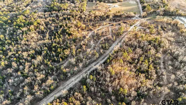 TBD County Road 3147 (14.5 Acres), Tyler, TX 75706