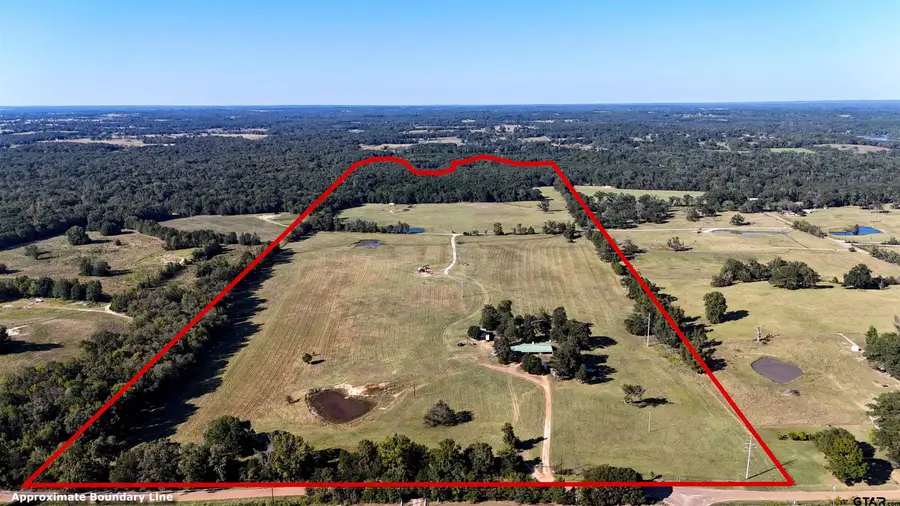 10769 CR 3519, Murchison, TX 75778 - Image #2