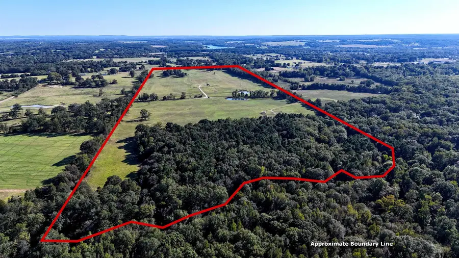 10769 CR 3519, Murchison, TX 75778 - Image #3