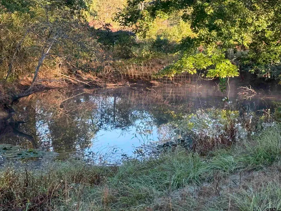 TBD CR 4194 Tr-8, Henderson, TX 75654 - Image #3