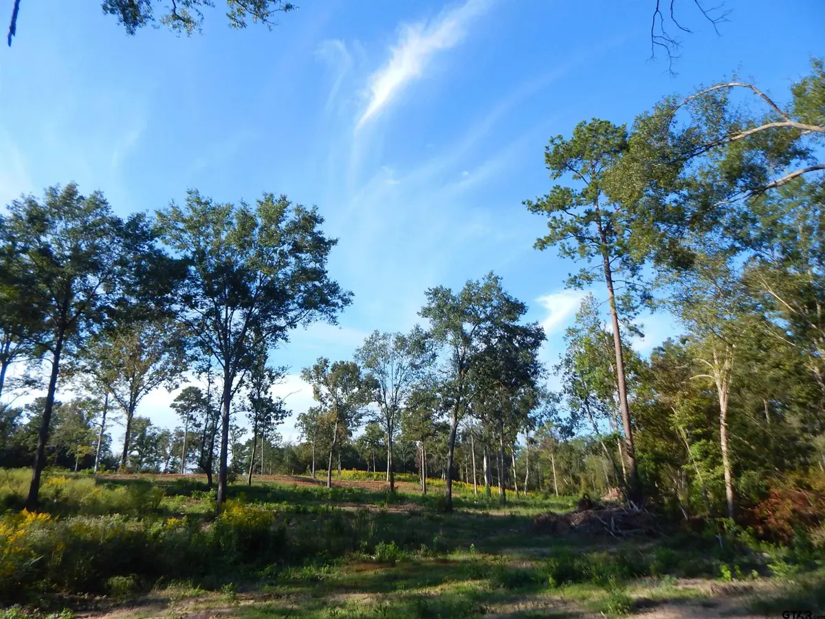 TBD 7.57 Acres Hwy 259, Ore City, TX 75683 - #1