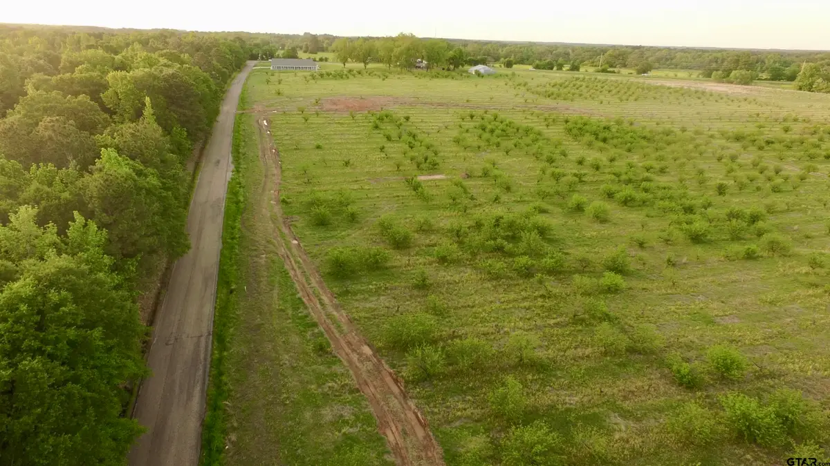 Lot 8 County Road 4230, Pittsburg, TX 75686 - Image #1