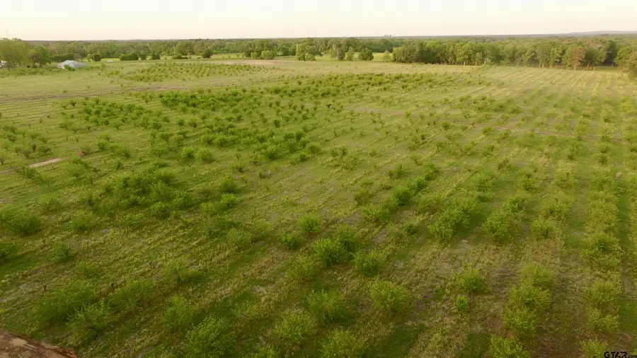 Lot 8 County Road 4230, Pittsburg, TX 75686 - Image #2