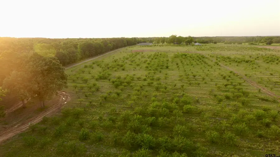 Lot 8 County Road 4230, Pittsburg, TX 75686 - Image #3