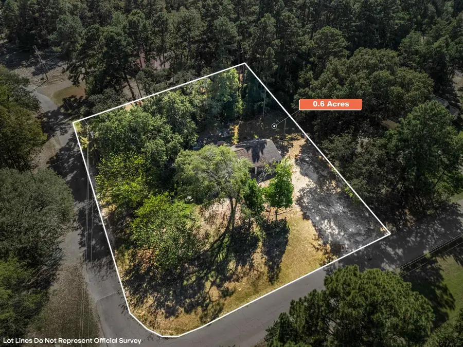 473 Meadow View, Holly Lake Ranch, TX 75765 - Image #3