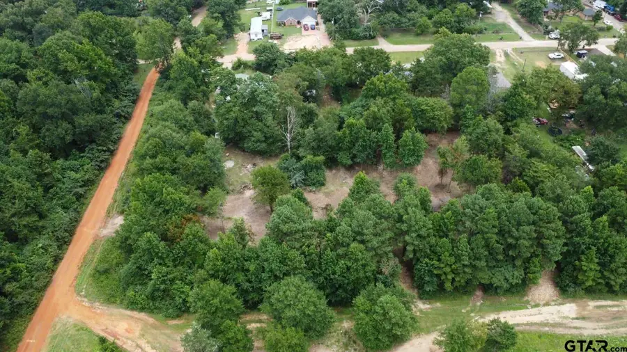 TBD Holtzclaw Dr Lot 42, Tyler, TX 75706 - Image #3