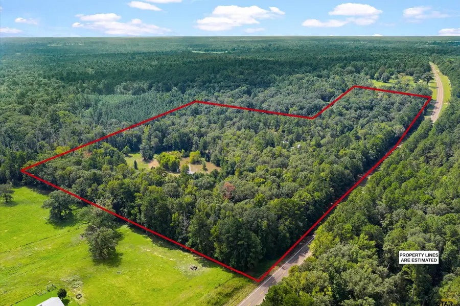 17315 FM 2089, Overton, TX 75684 - Image #3