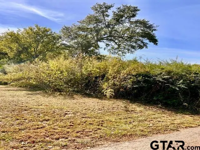 1003 Cherry Street, Henderson, TX 75652 - Image #1