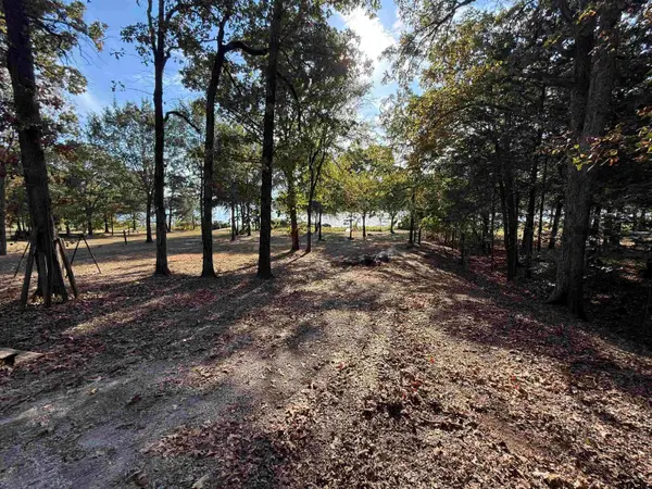 6435 FM 17 LOTS 85,86, Yantis, TX 75497