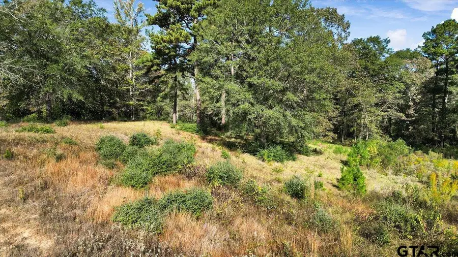 TBD PR 3398 Lot 31, Big Sandy, TX 75755 - Image #3