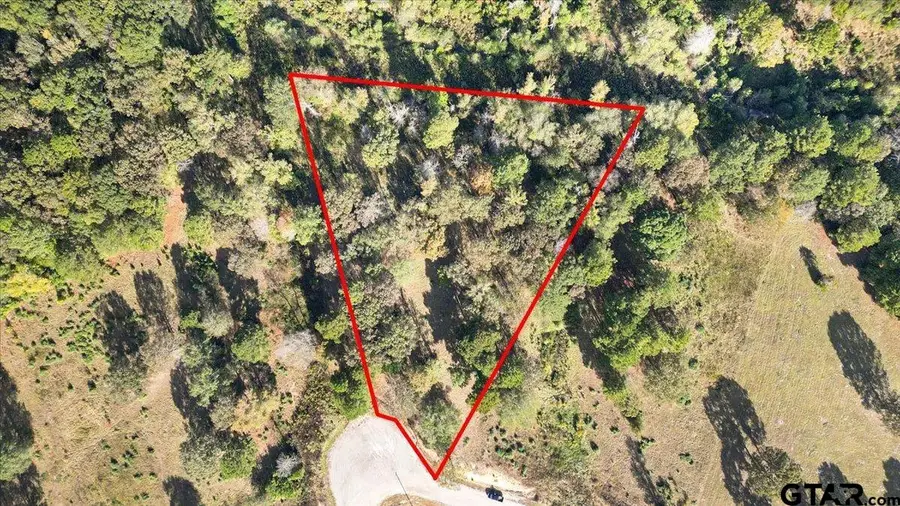 TBD PR 3398 Lot 32, Big Sandy, TX 75755 - Image #2