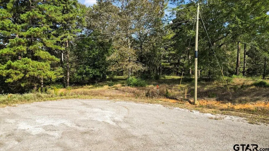 TBD PR 3398 Lot 32, Big Sandy, TX 75755 - Image #3