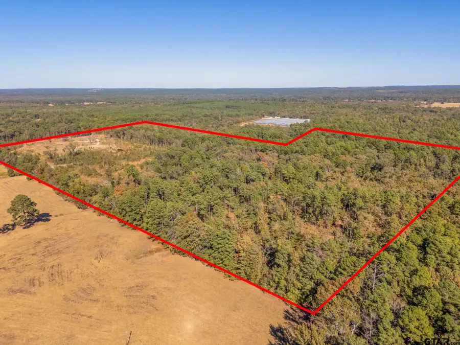 603 County Road 3953, Mineola, TX 75773 - Image #2