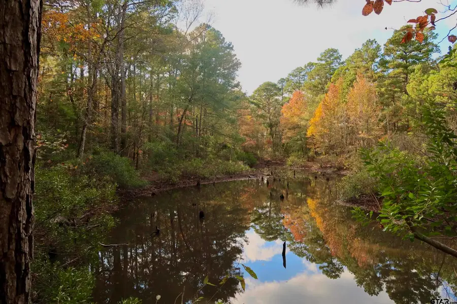 603 County Road 3953, Mineola, TX 75773 - Image #3