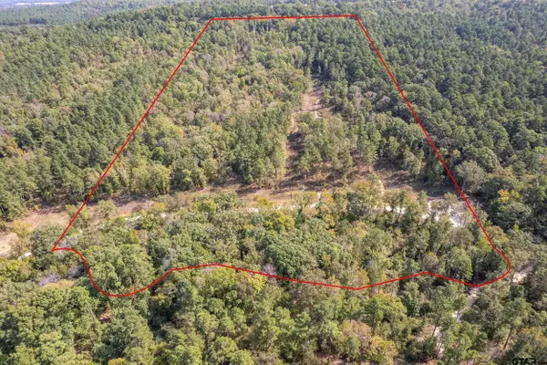 1305 Jackson Dr & TBD Hwy 110, Rusk, TX 75785