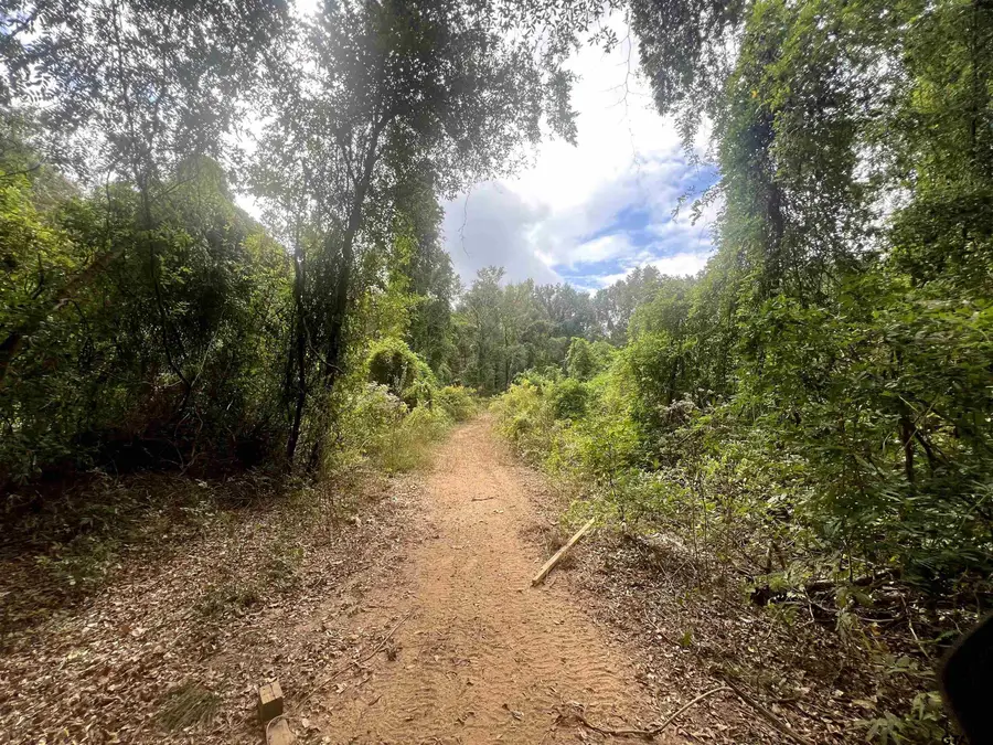 210 Cr 4418, Jacksonville, TX 75766 - Image #2