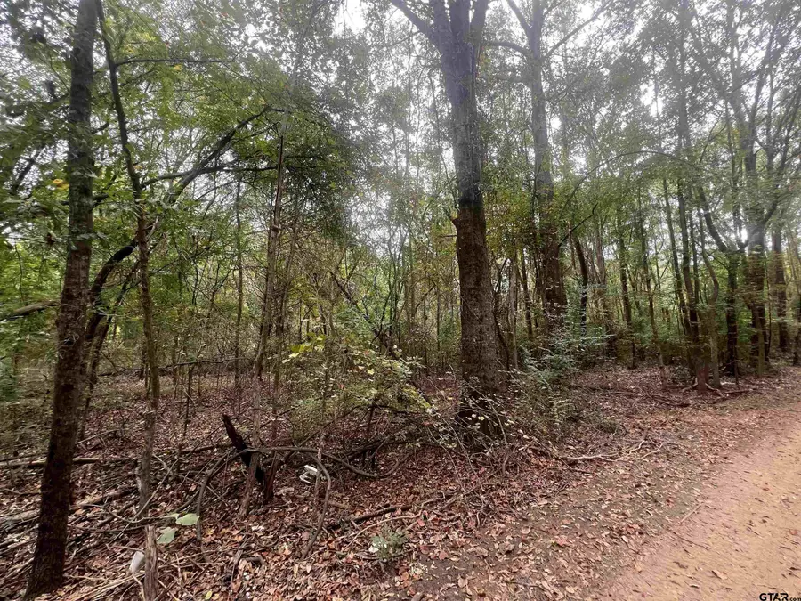 210 Cr 4418, Jacksonville, TX 75766 - Image #3