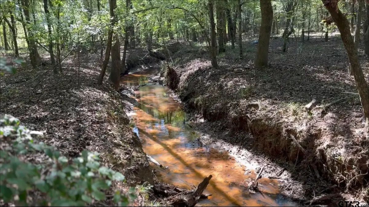 TBD-D CR 4172D, Laneville, TX 75667 - #1