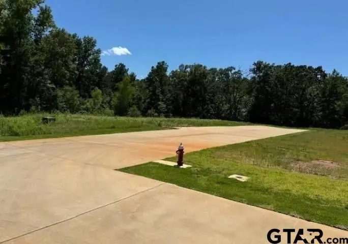 1211 Centennial Trl, Tyler, TX 75703 - #2