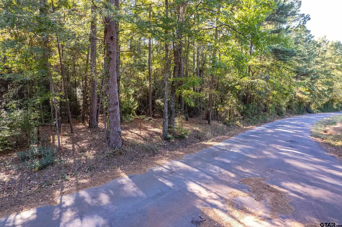 000 Sycamore Rd E/Sid, Big Sandy, TX 75755 - Image #1