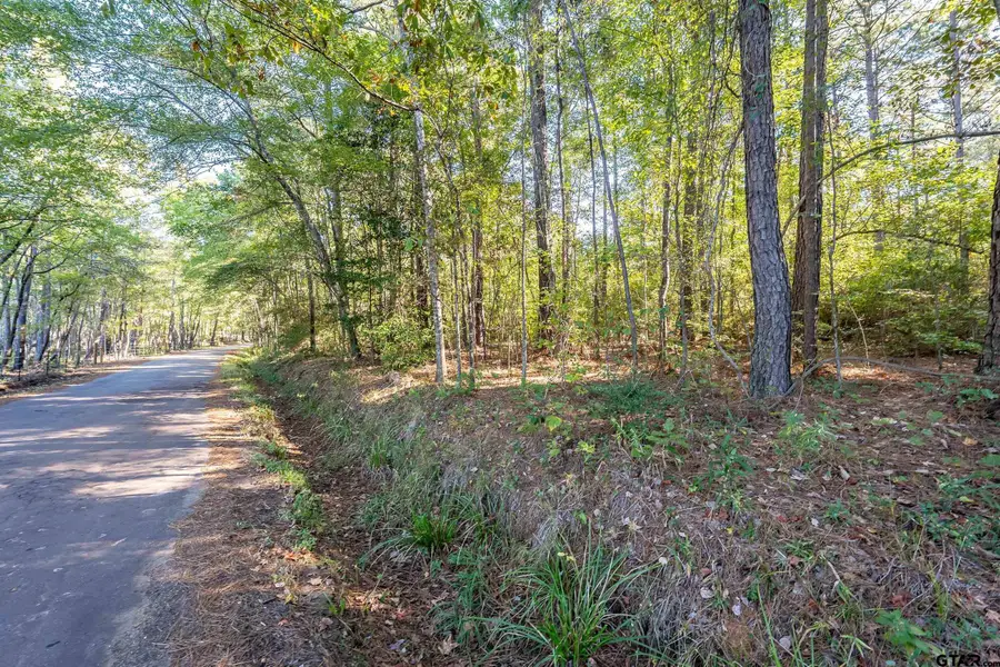 000 Sycamore Rd E/Sid, Big Sandy, TX 75755 - Image #2