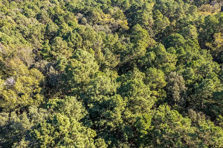 000 Sycamore Rd E/Sid, Big Sandy, TX 75755 - Image #3