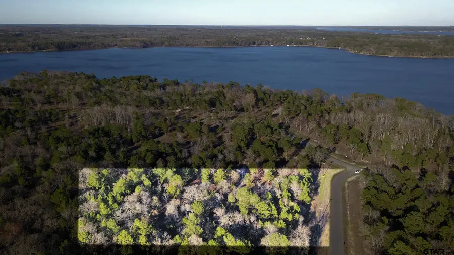 3729 Pine Wood Way  LOTS 80 & L18, Larue, TX 75770 - Image #2