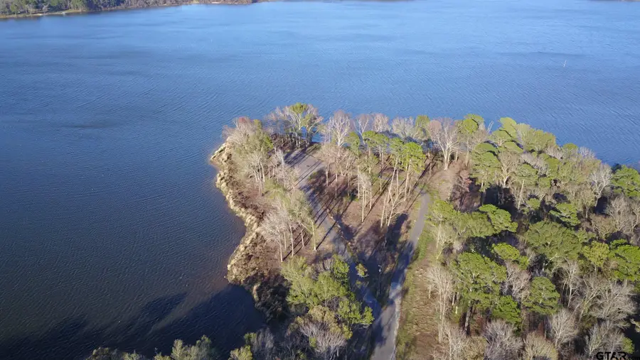 3729 Pine Wood Way  LOTS 80 & L18, Larue, TX 75770 - Image #3