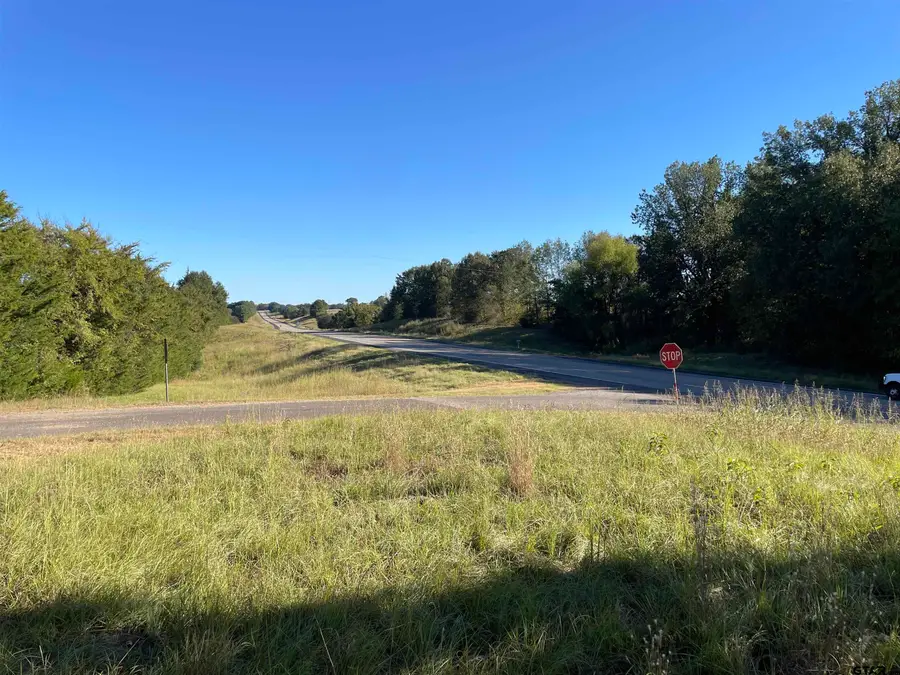 TBD Hwy 77, Omaha, TX 75571 - Image #2