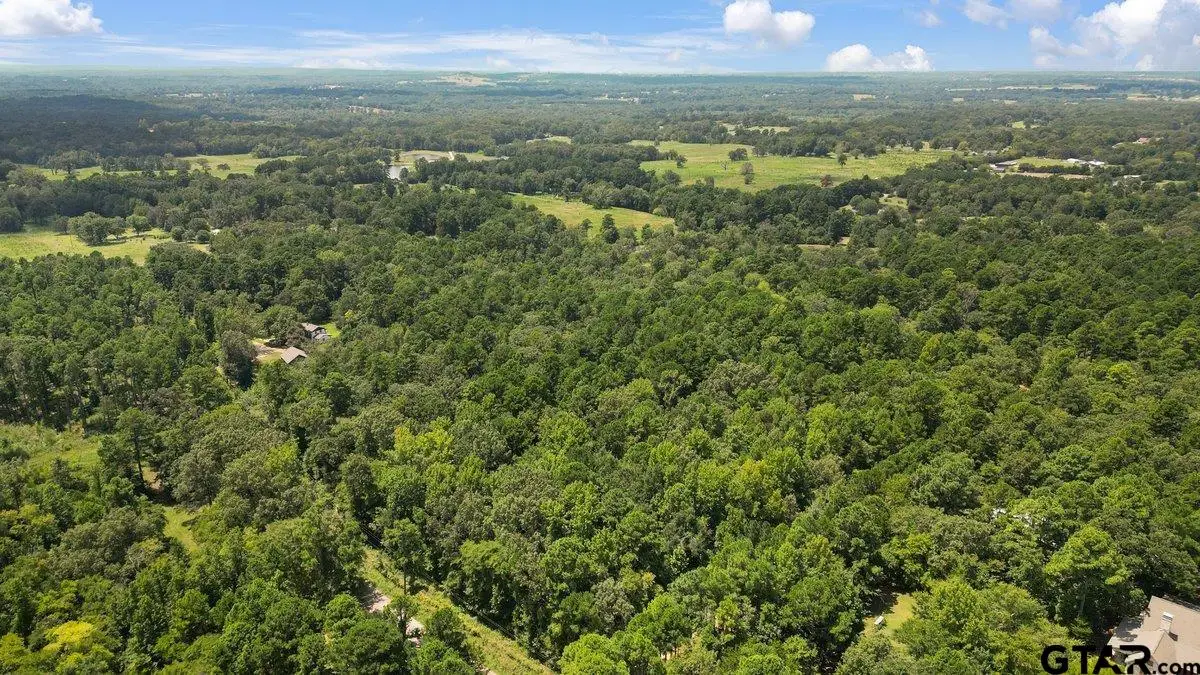 21430 County Road 2182, Whitehouse, TX 75791 - Image #1