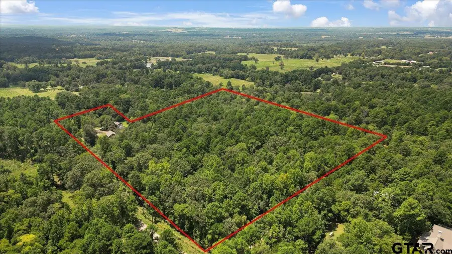 21430 County Road 2182, Whitehouse, TX 75791 - Image #3