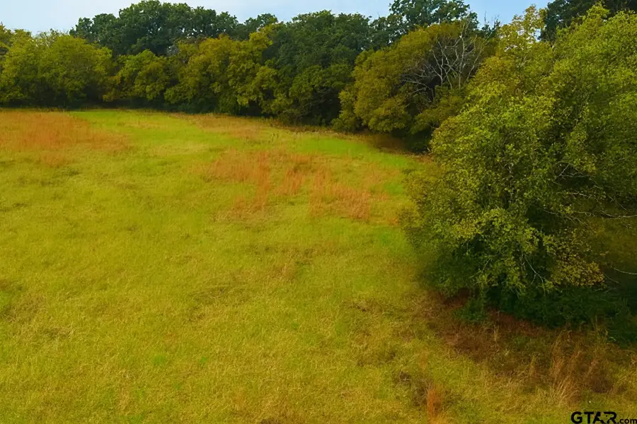 TBD 20.83 +- VZCR 1118, Grand Saline, TX 75140 - Image #2