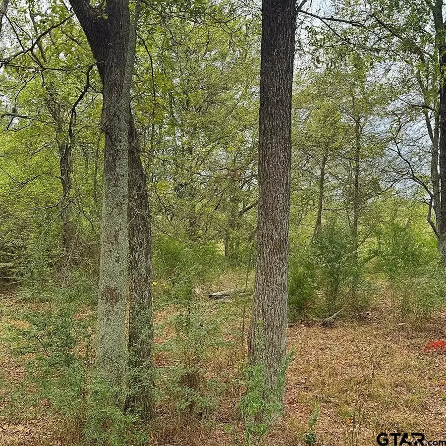 TBD 20.83 +- VZCR 1118, Grand Saline, TX 75140 - Image #3