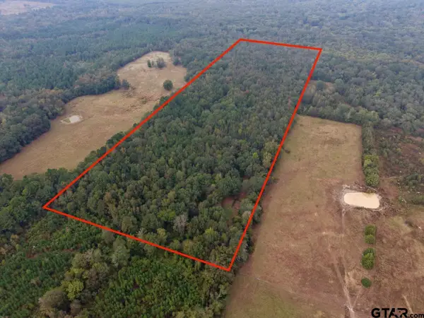 339 County Road 3966, Mineola, TX 75773