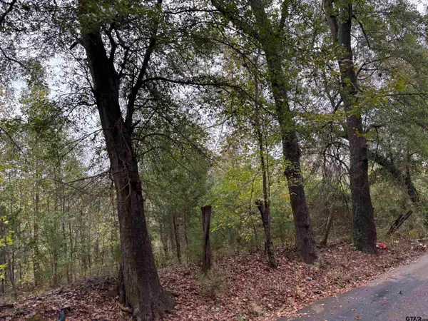 tbd CR 1312, Pittsburg, TX 75686