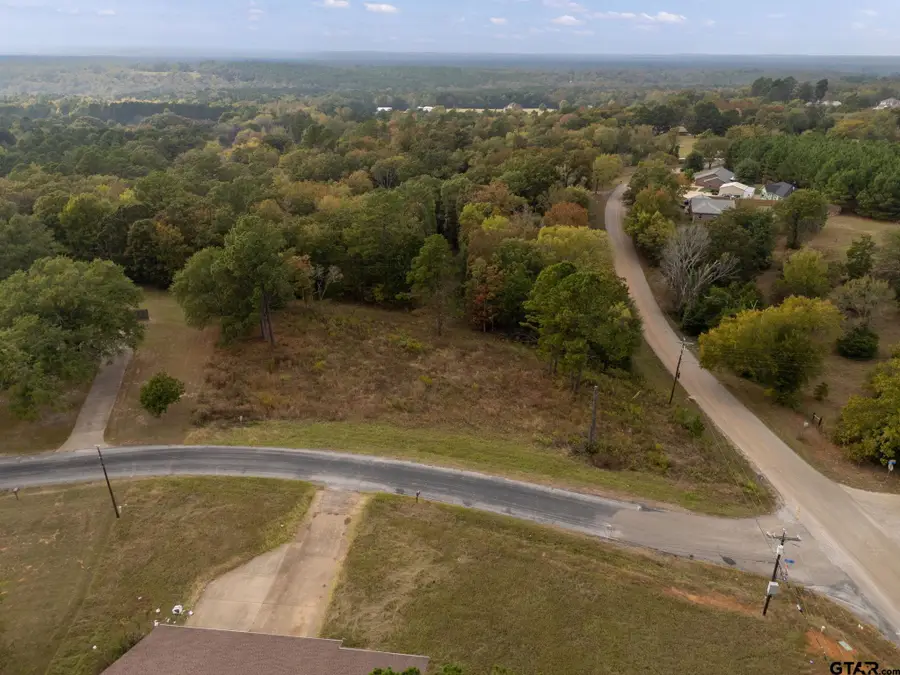 2173 Highland Place, Whitehouse, TX 75791 - Image #2