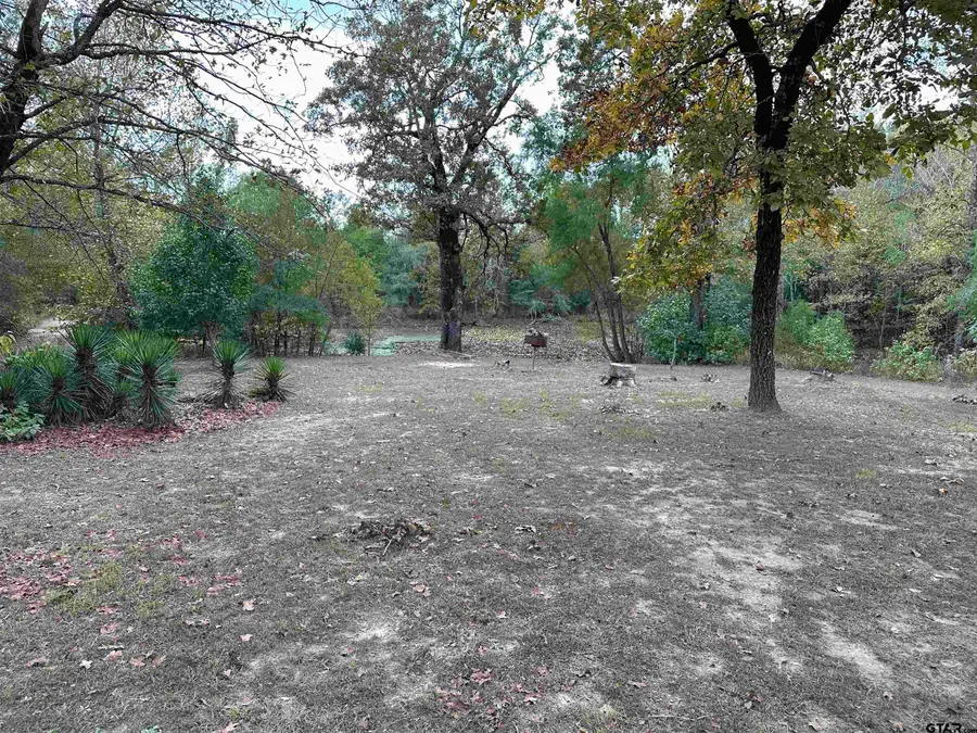 2075 VZ County Road 4912, Van, TX 75790 - Image #3