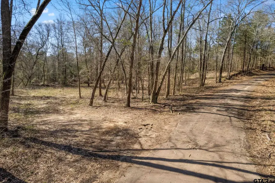 TBD Woodchuck Rd, Pittsburg, TX 75686 - Image #3