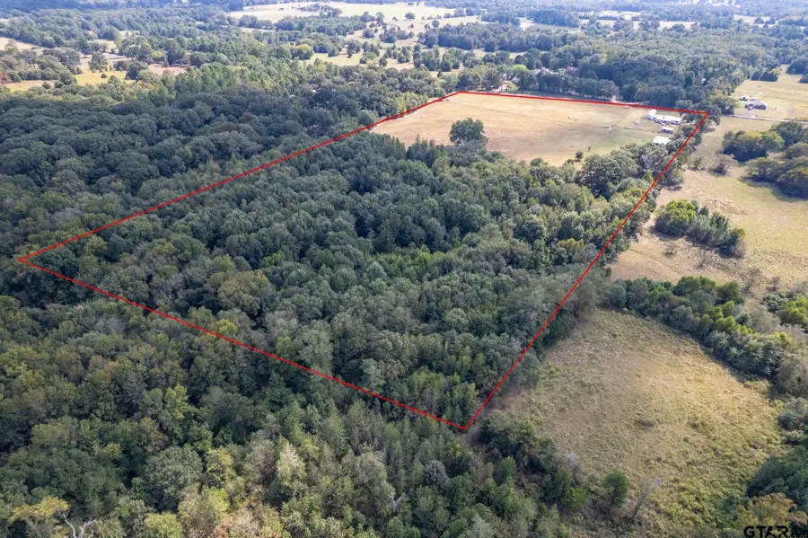 1393 County Road 4940, Quitman, TX 75783 - Image #2