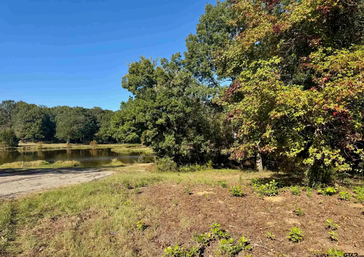 Lot 18 County Road 1216, Pittsburg, TX 75686 - Image #1