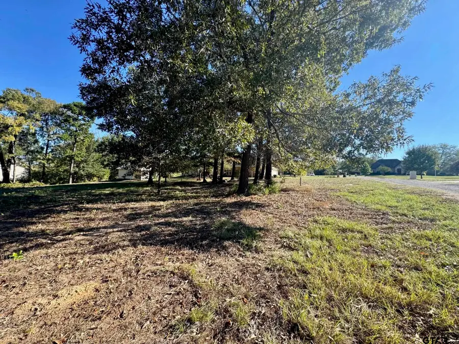 Lot 18 County Road 1216, Pittsburg, TX 75686 - Image #3