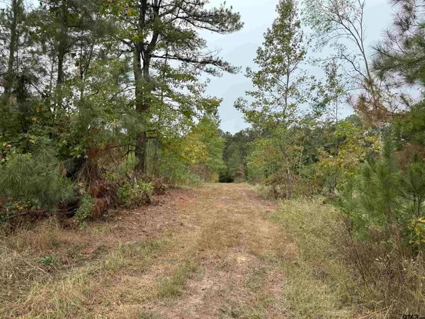 TBD CR 314 -  15  acres, Henderson, TX 75652