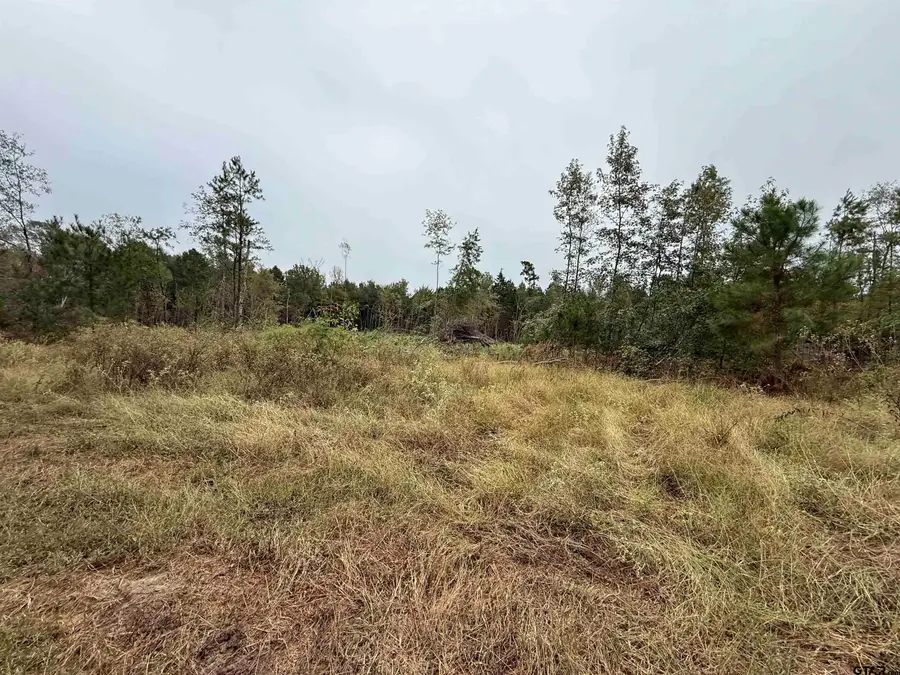 TBD CR 314 -  15  acres, Henderson, TX 75652 - Image #3