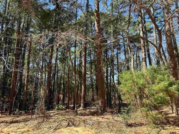 1473 Red Bud Circle, Bullard, TX 75757